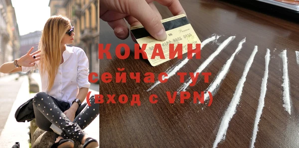 бошки Заводоуковск