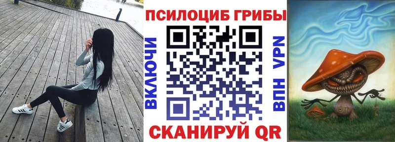 Купить где  Отрадное  Галлюциногенные грибы прущие грибы 